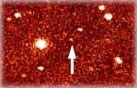 Minor Planet Articles Minor Planet Articles