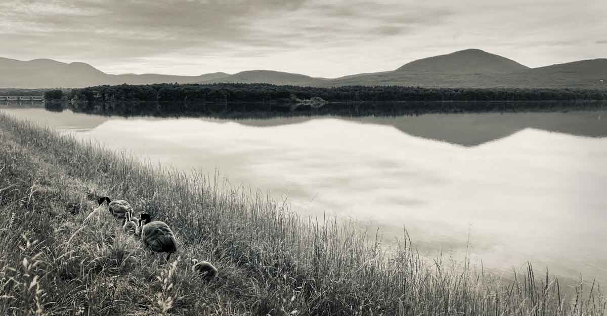 Black and White photo of Ashokan Reservoir by Lanvi Nguyen
